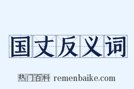 国丈反义词是什么意思的图片